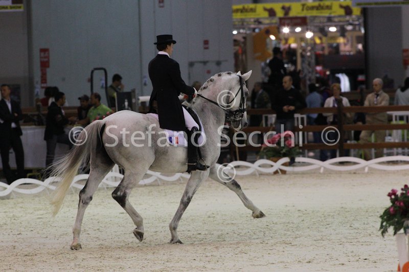 DUPERDU_PASSE PARTOUT_MILANO_2011_SS3_4956.jpg